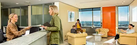 The Virtual Office Package
